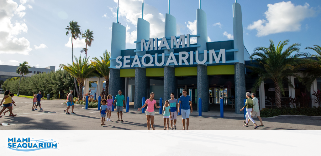 Visitors approach the entrance of Miami Seaquarium on a sunny day.