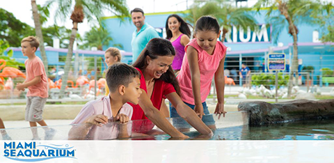 Family enjoys an exhibit at the Miami Seaquarium.