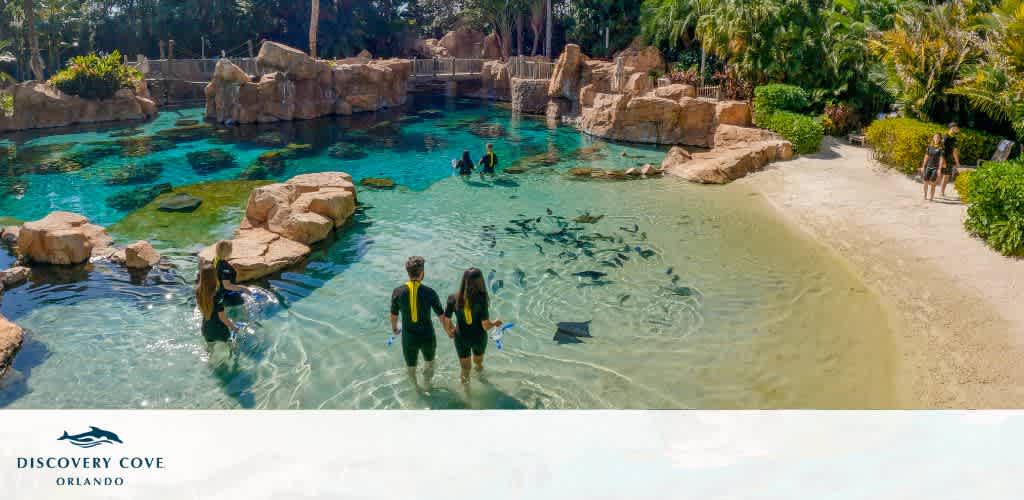 Discovery Cove discount tickets