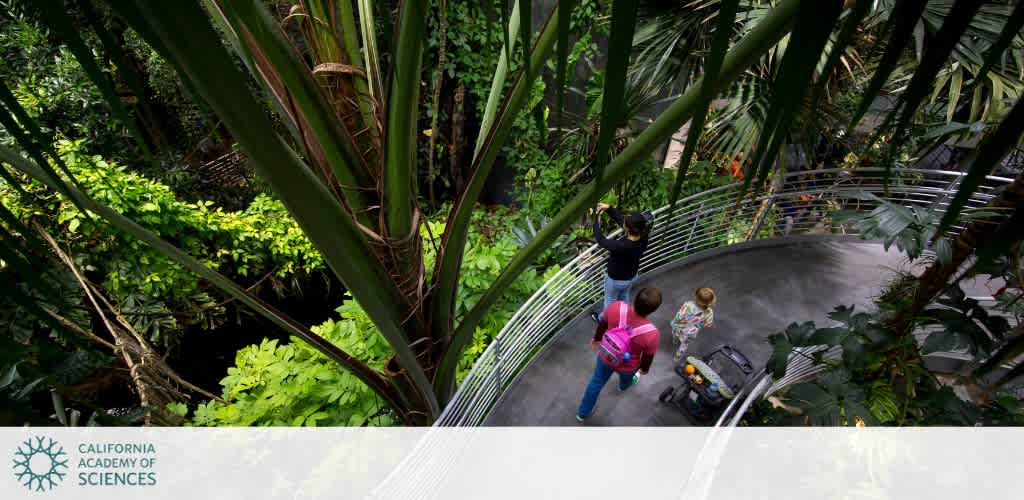 A group of people explores a lush, green indoor rainforest via a winding pathway surrounded by tall plants and dense foliage. The setting is vibrant and immersive, providing a sense of adventure and discovery. The path is enclosed by a railing for safety and accessibility. The scene captures the essence of nature indoors, emphasizing a family-friendly environment.