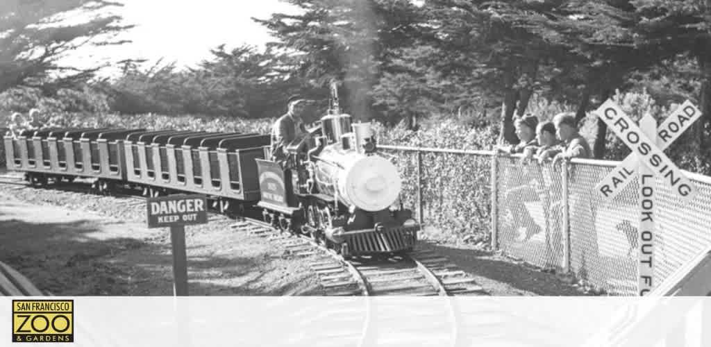 A vintage black and white photo at San Francisco Zoo and Gardens featuring a miniature train with its conductor and passengers. The train is approaching a gated crossing where several onlookers are watching from behind safety signs warning of the railroad. Trees line the background, contributing to a tranquil park atmosphere.