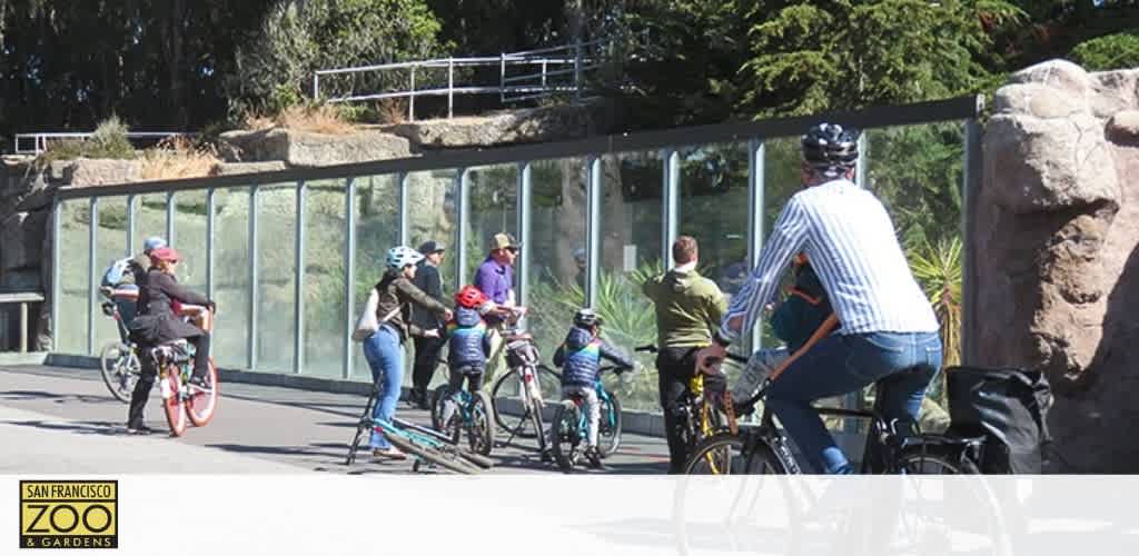 Visitors at the San Francisco Zoo & Gardens enjoying a sunny day. A group of cyclists, including children with helmets, are standing by their bikes near a clear barrier that offers a view into an animal enclosure, with lush greenery in the background.