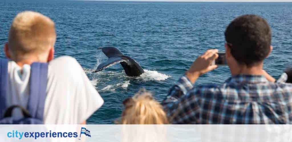 Two individuals with their backs to the viewer are on a boat, watching a humpback whale tail visible above the ocean's surface. The closer person is taking a photo while the other, a child, observes. The water gleams under a clear blue sky, and the company name, City Experiences, is seen in the corner.