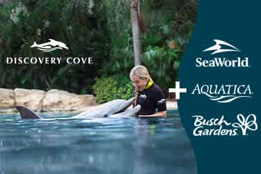 Dolphin Swim Package with SeaWorld Orlando Aquatica Orlando & Busch Gardens Tampa  (3 Parks) - “October Sale”
