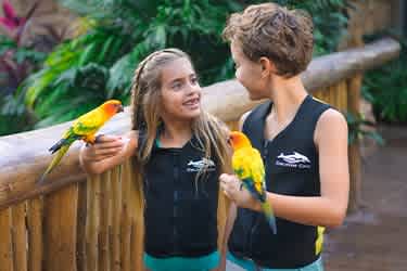 Resort Package Only - “October Sale”