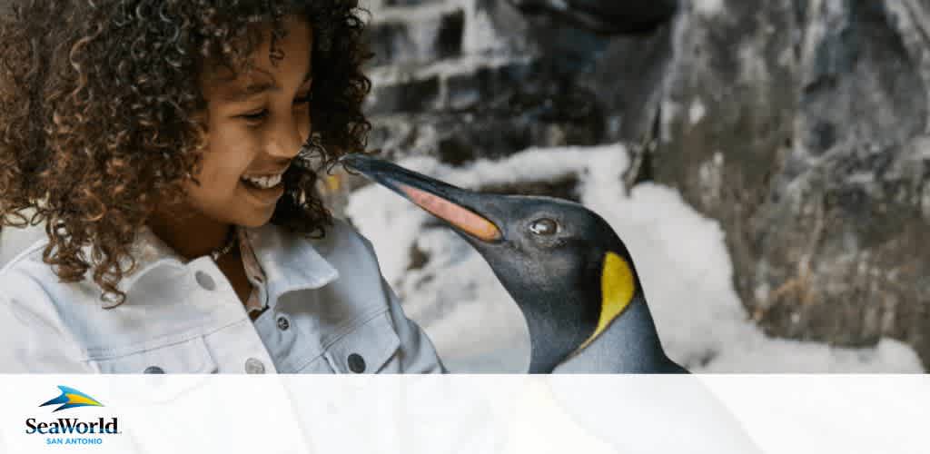 A child wearing a light jacket smiles while interacting with a penguin at SeaWorld San Antonio. The penguin stands close, its beak slightly open. The background features a rocky ice-like surface, evoking a natural habitat. The image conveys a sense of joy and connection with wildlife in a safe and controlled environment.