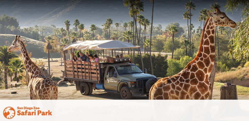 A safari tour vehicle carries visitors through a wildlife park, offering close views of two giraffes. The scene is set against a backdrop of lush greenery and palm trees under a clear sky. The visitors appear engaged and excited, capturing the essence of an adventurous day at the zoo.