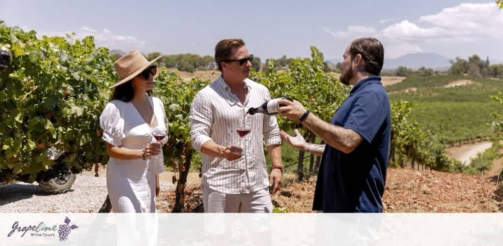 Three people are enjoying a vineyard tour on a sunny day. A guide in a navy shirt is pouring wine into a glass held by a man in a striped shirt, who stands next to a woman in a white dress and wide-brimmed hat. The vineyard is lush and green, with rows of grapevines stretching into the distance, set against a backdrop of distant hills and blue sky.