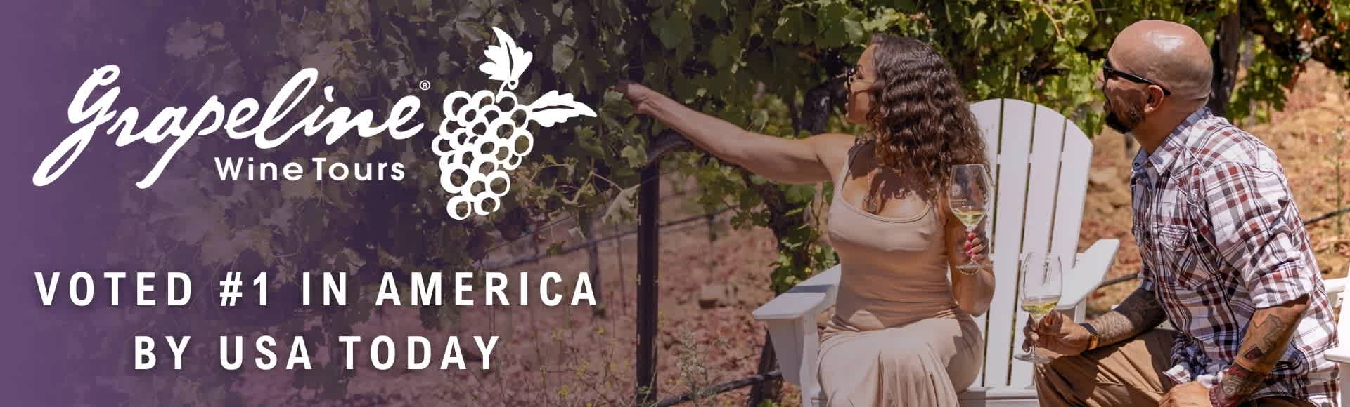 Promotional banner for Grapeline Wine Tours featuring their logo, a rating, and a couple enjoying wine in a vineyard.