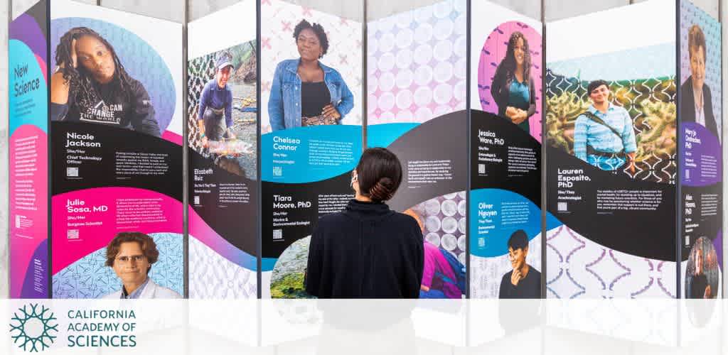 A person stands in front of a multi-panel display at the California Academy of Sciences. Each panel features diverse scientists with vibrant backgrounds highlighting their contributions to science. The panels include names and titles, celebrating innovation and diversity in scientific fields. The display emphasizes inclusion and showcases role models in science, technology, engineering, and mathematics.