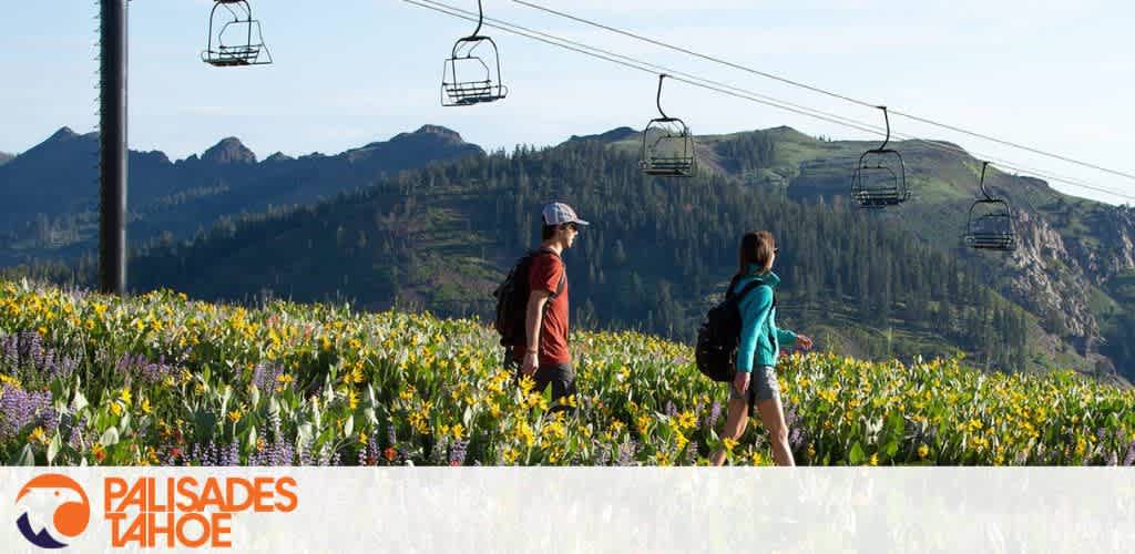 People walking in a wildflower field under a ski lift with mountains in the background.