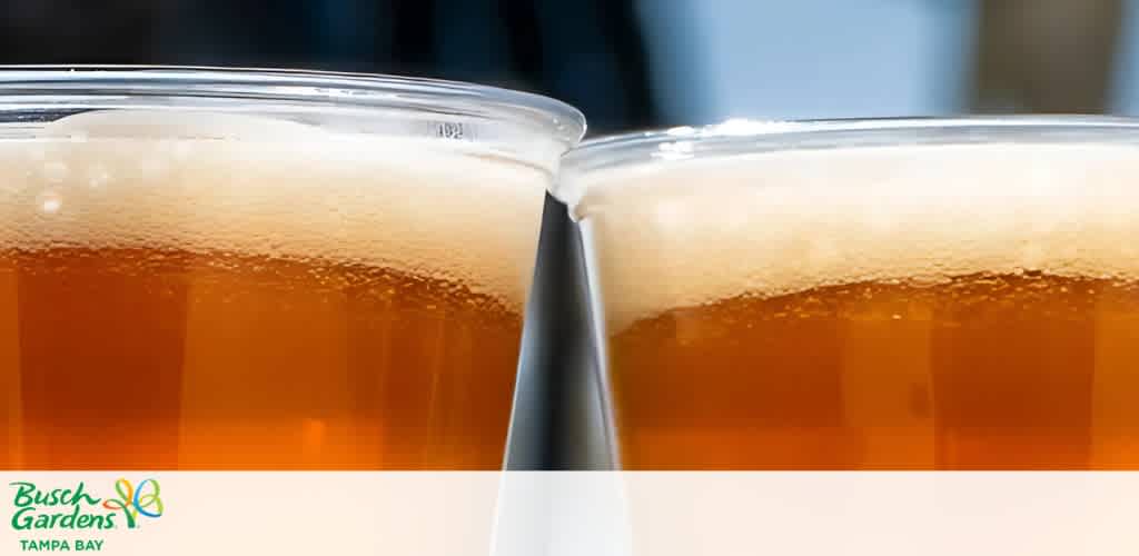 Two plastic cups of amber beer with foam, featuring the Busch Gardens Tampa Bay logo at the bottom.
