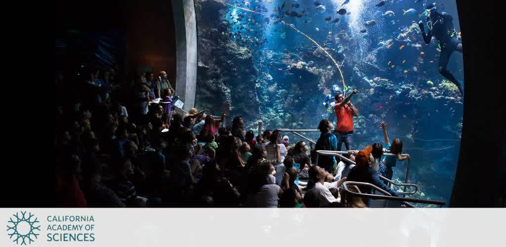 People watching a diver in a large aquarium at the California Academy of Sciences.