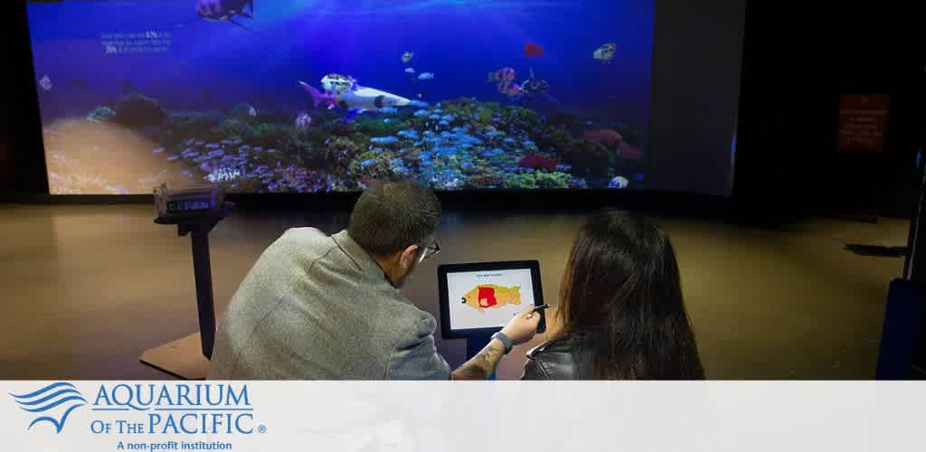 Two people at an aquarium interacting with a touchscreen in front of an underwater projection.