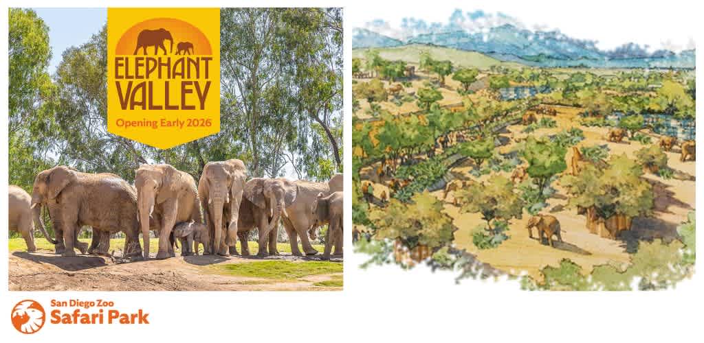 Group of elephants with a banner for Elephant Valley, an announcement for early 2026 opening, and an illustration of a park landscape at the San Diego Zoo Safari Park.