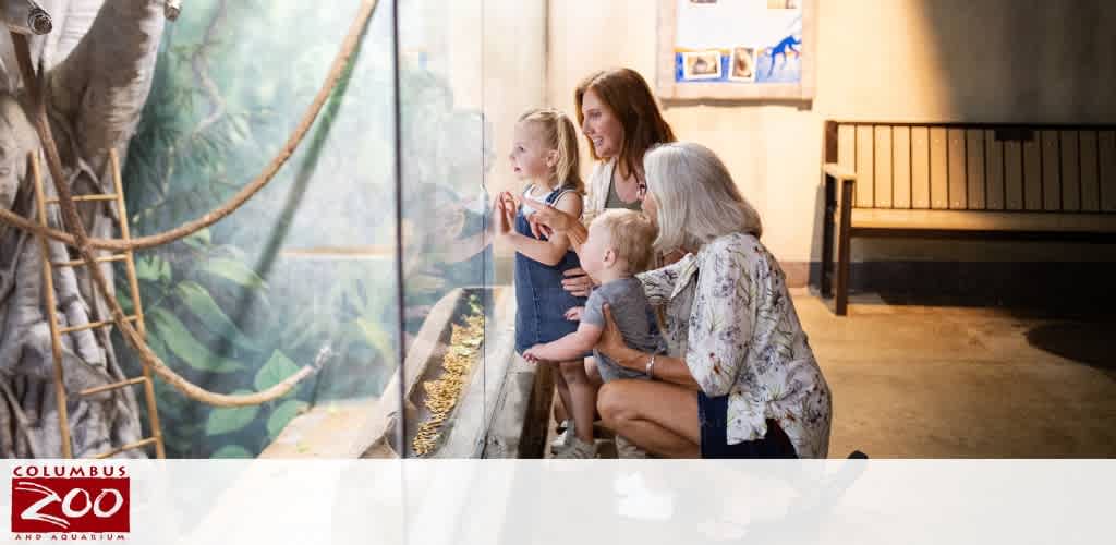 Family looking at animals through an enclosure window at Columbus Zoo and Aquarium