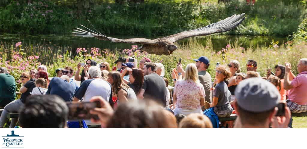 A large group of people seated outdoors by a pond, watching a bird flying overhead during daytime viewers are taking photos and enjoying the event.