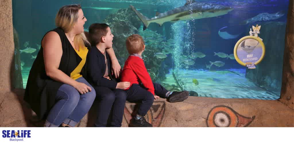 A woman and two children sit on a ledge watching sharks swim in an aquarium tank with colorful fish and marine life exhibits.