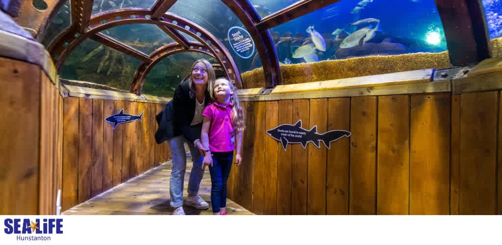 Two children and a woman stand inside an aquarium tunnel with fish swimming overhead, surrounded by wooden panels and informational signs about aquatic animals.