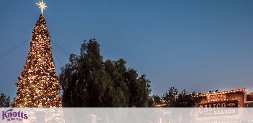 A large Christmas tree with lights and a star topper, beside a building labeled 