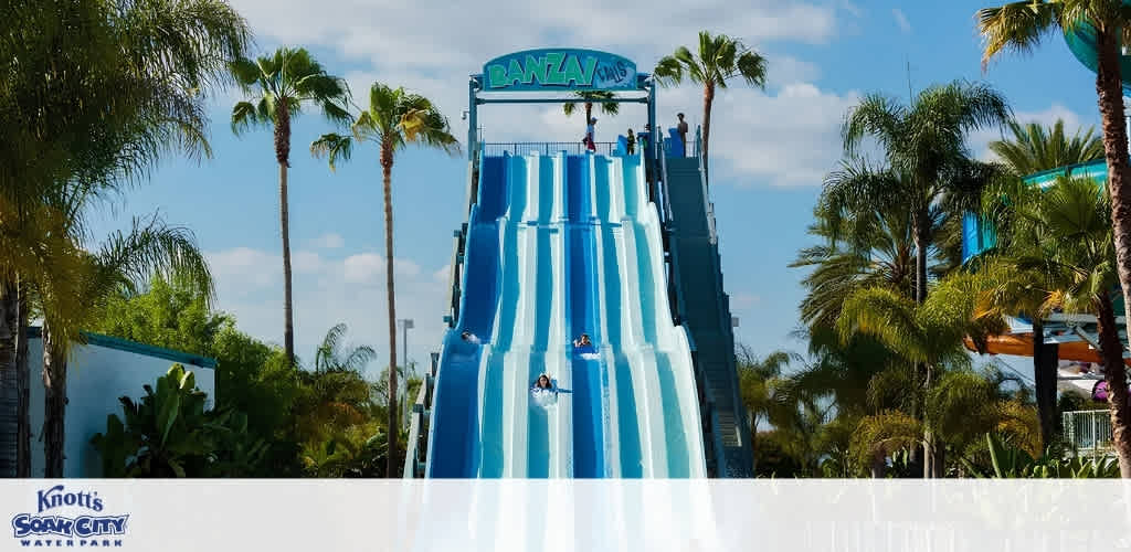 A large multi-lane water slide with children sliding down and palm trees surrounding it at Knott's Soak City Water Park