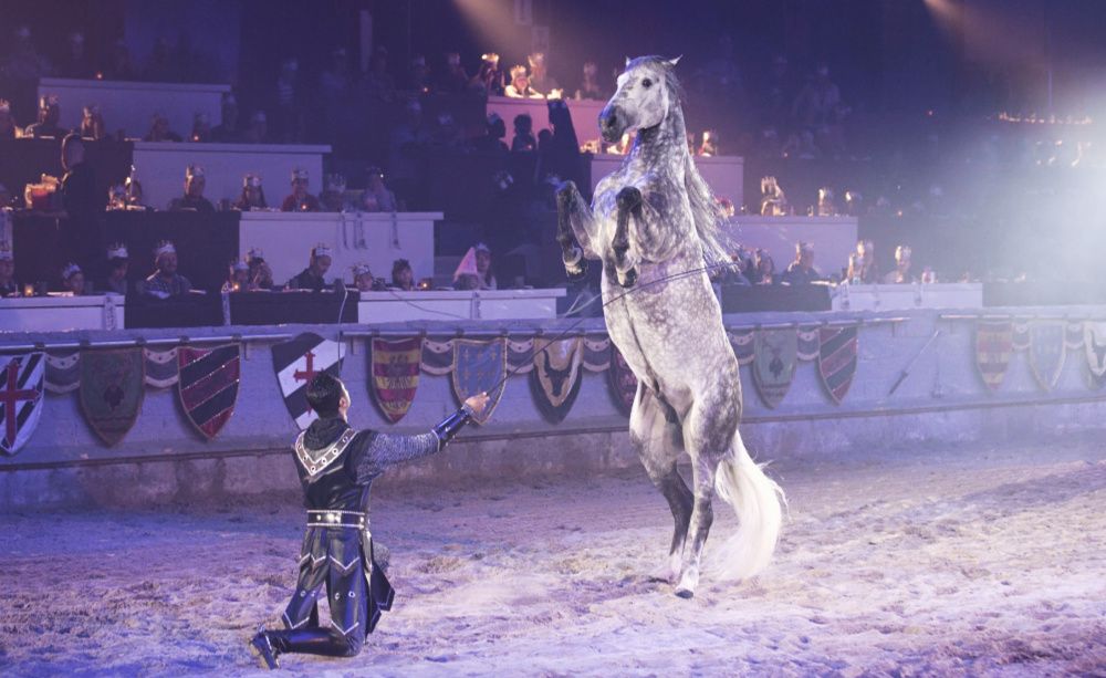 Medieval Times Baltimore -