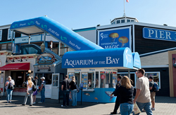 Aquarium of the Bay San Francisco