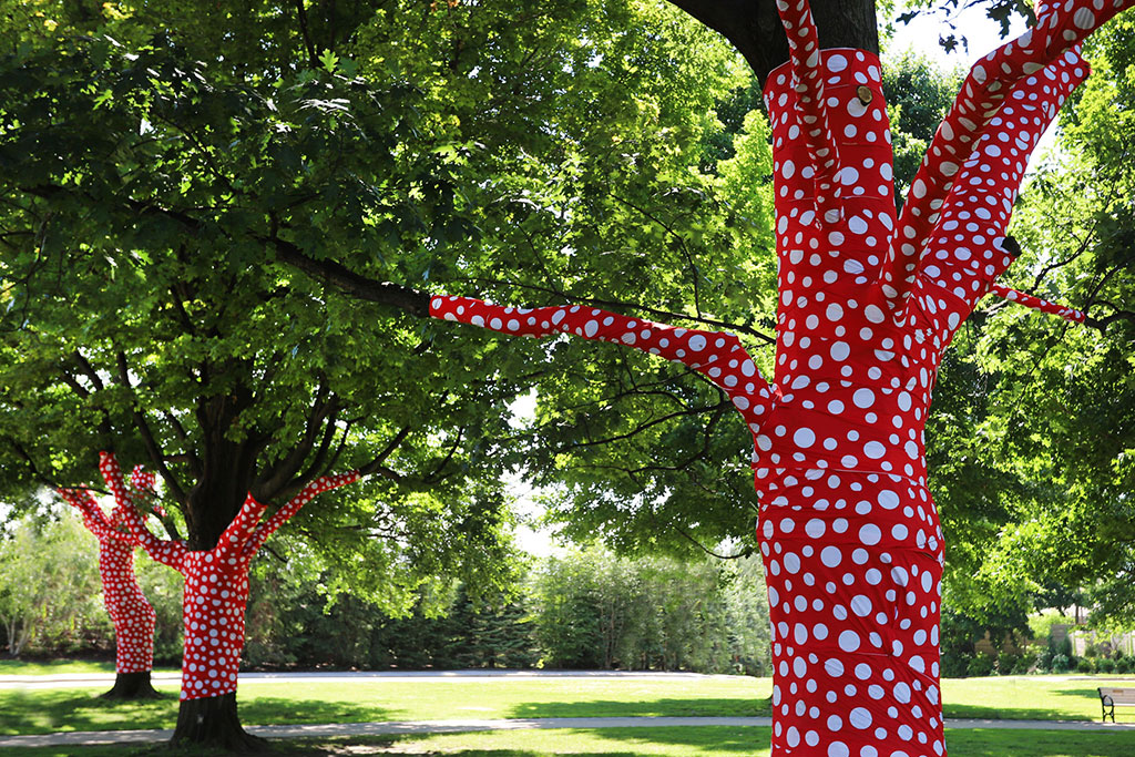New York Botanical Garden