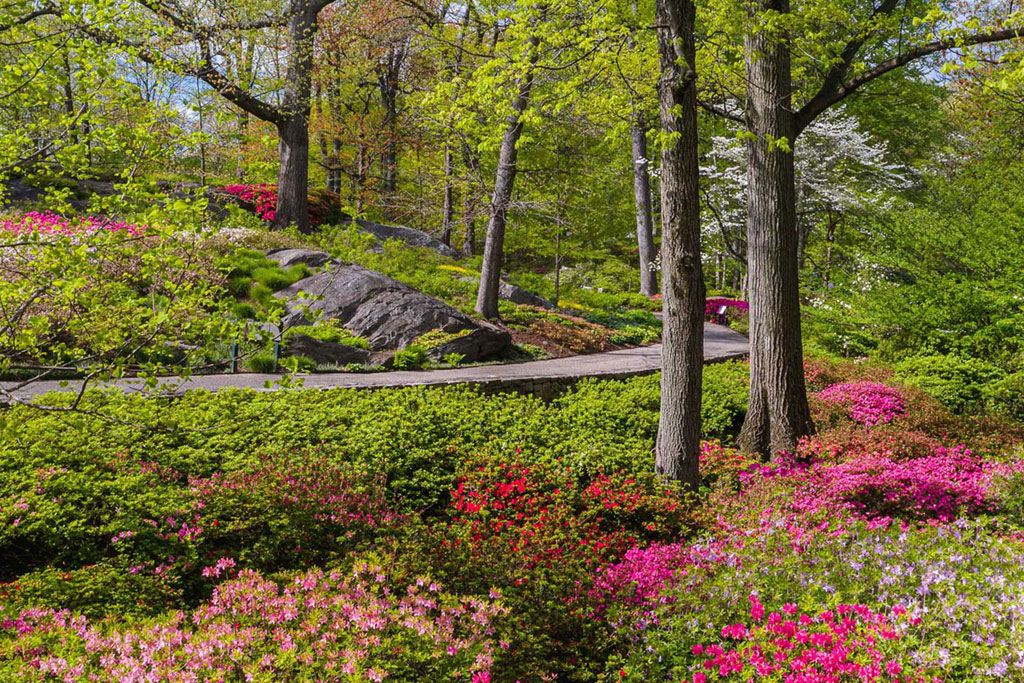 New York Botanical Garden