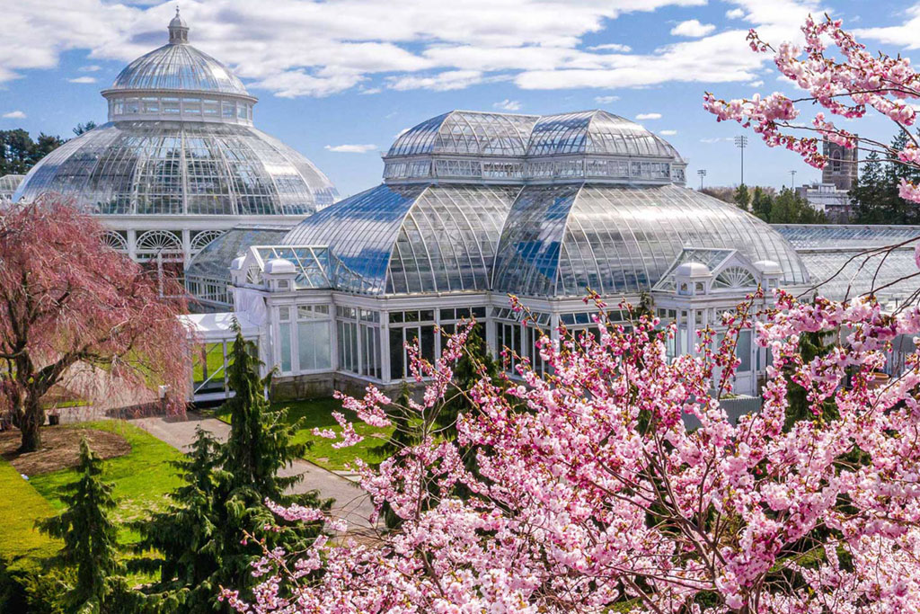 New York Botanical Garden
