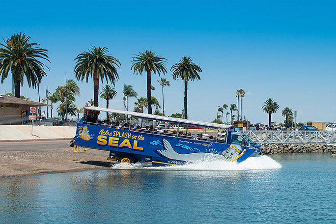 An amphibious tour bus entering water with palm trees in the background.