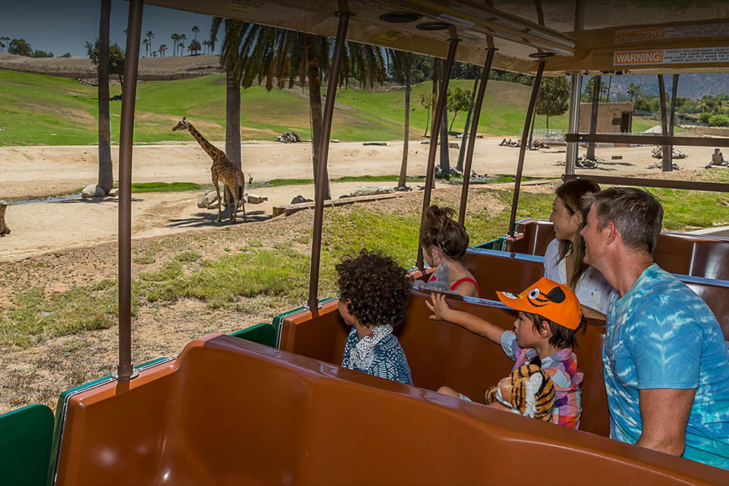 Africa Tram - San Diego Safari Park