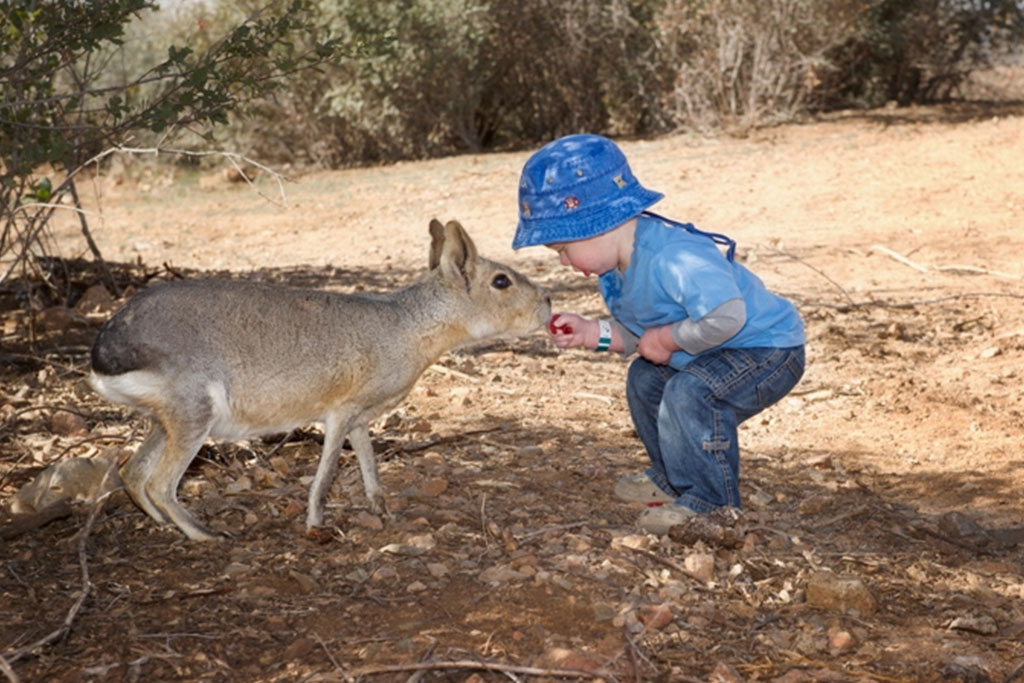 Creature Feature - Out of Africa Wildlife Park
