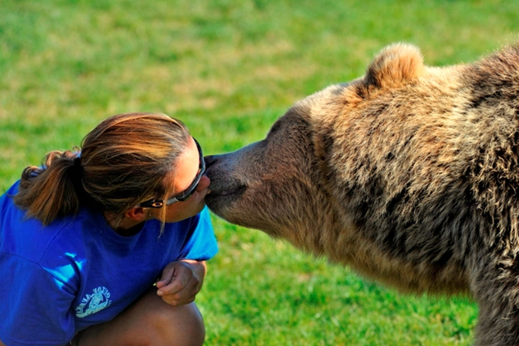 Wonders of Wildlife Show - Out of Africa Wildlife Park