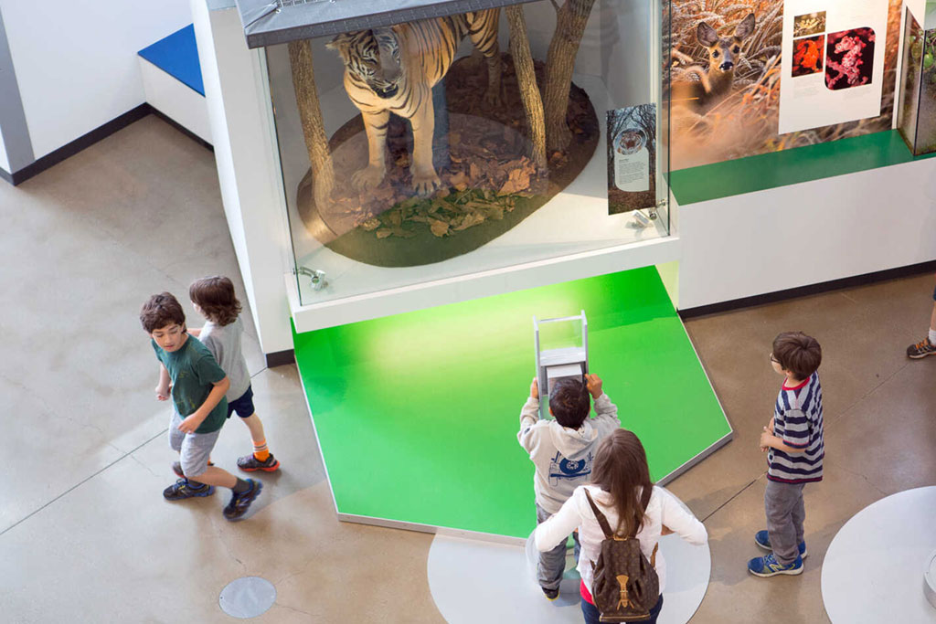 Kimball Natural History Museum - California Academy of Sciences