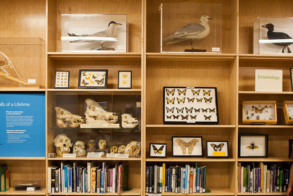 Naturalist Center - California Academy of Sciences