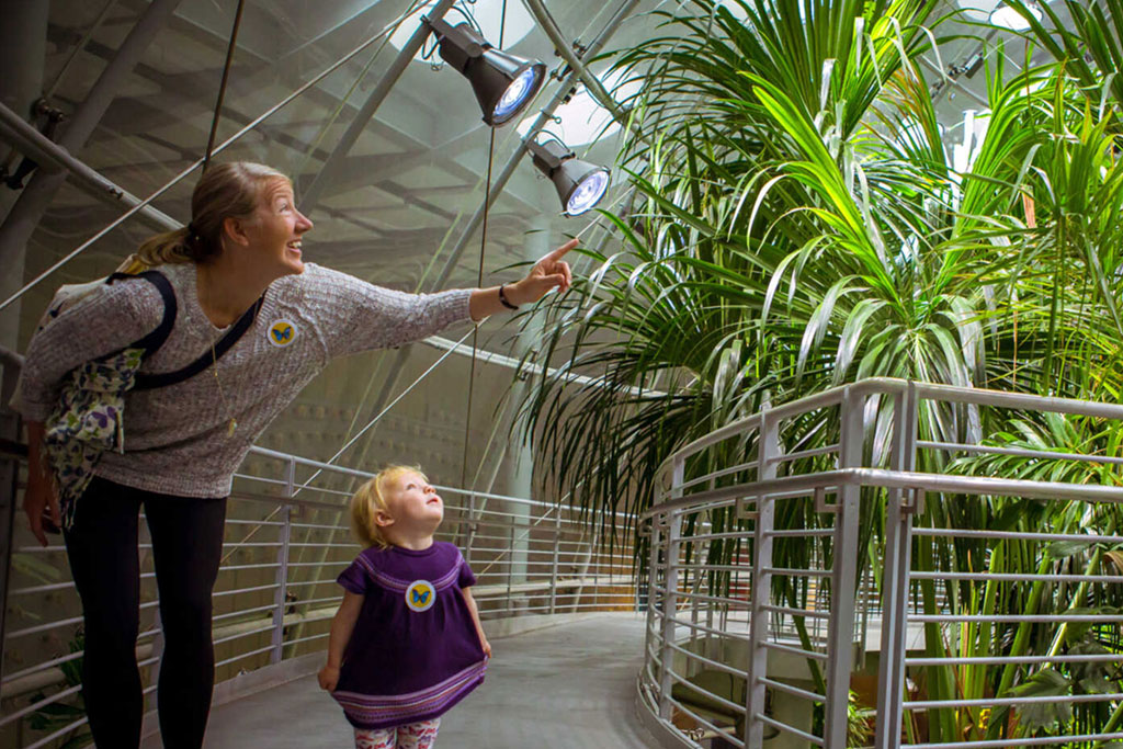 Osher Rainforest - California Academy of Sciences