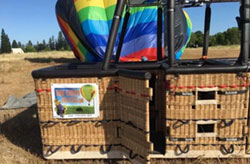 Wine Country Balloons