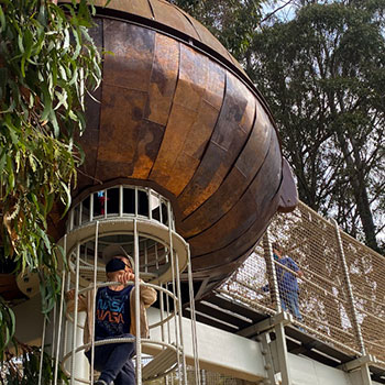 Bay Area Discovery Museum : Gumnut Grove