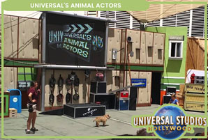 Universal Studios Hollywood discount tickets