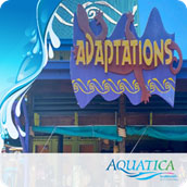 Aquatica Orlando discount tickets