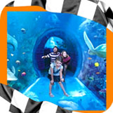 Andretti Indoor Karting & Games tickets