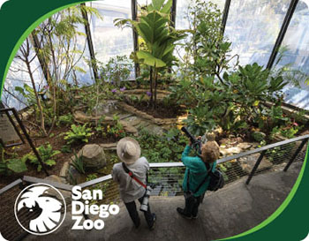 San Diego Zoo