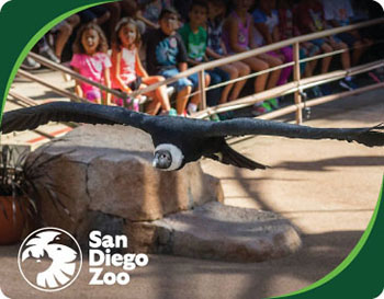 San Diego Zoo