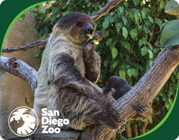 San Diego Zoo