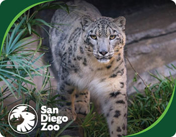San Diego Zoo