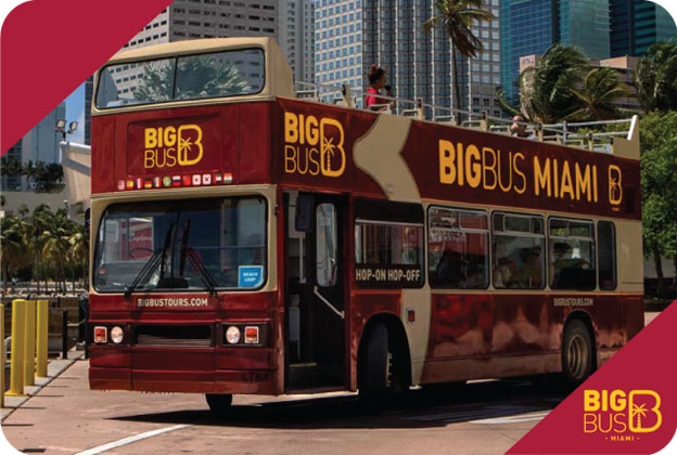 big bus tours miami