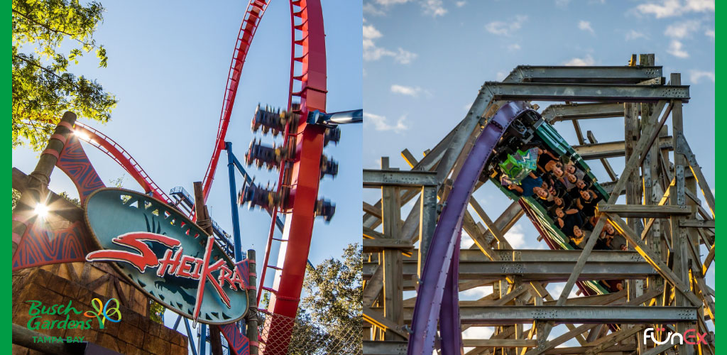 Busch Gardens Tampa discount tickets