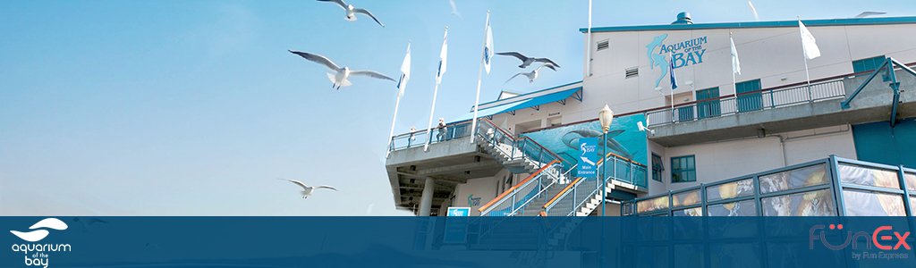 Aquarium of the Bay San Francisco funex discount ticket