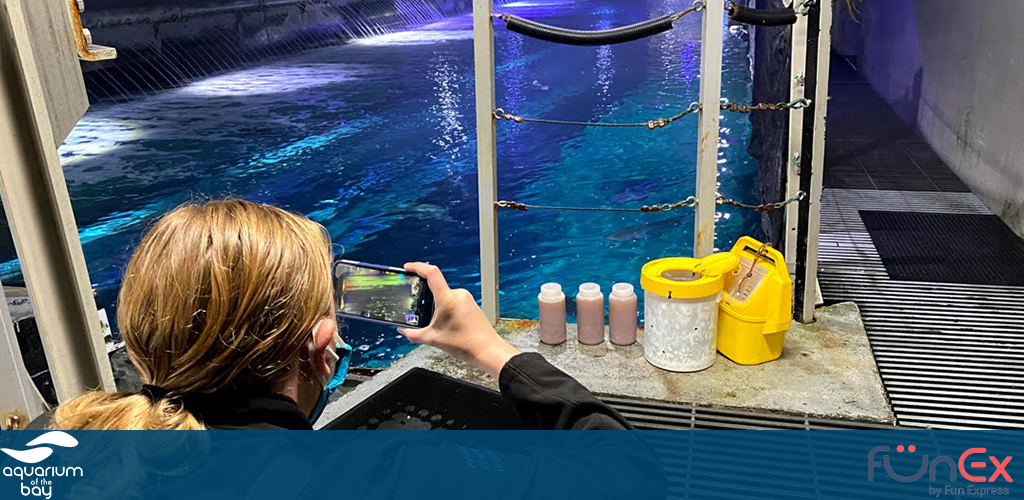 Aquarium of the Bay San Francisco funex discount ticket